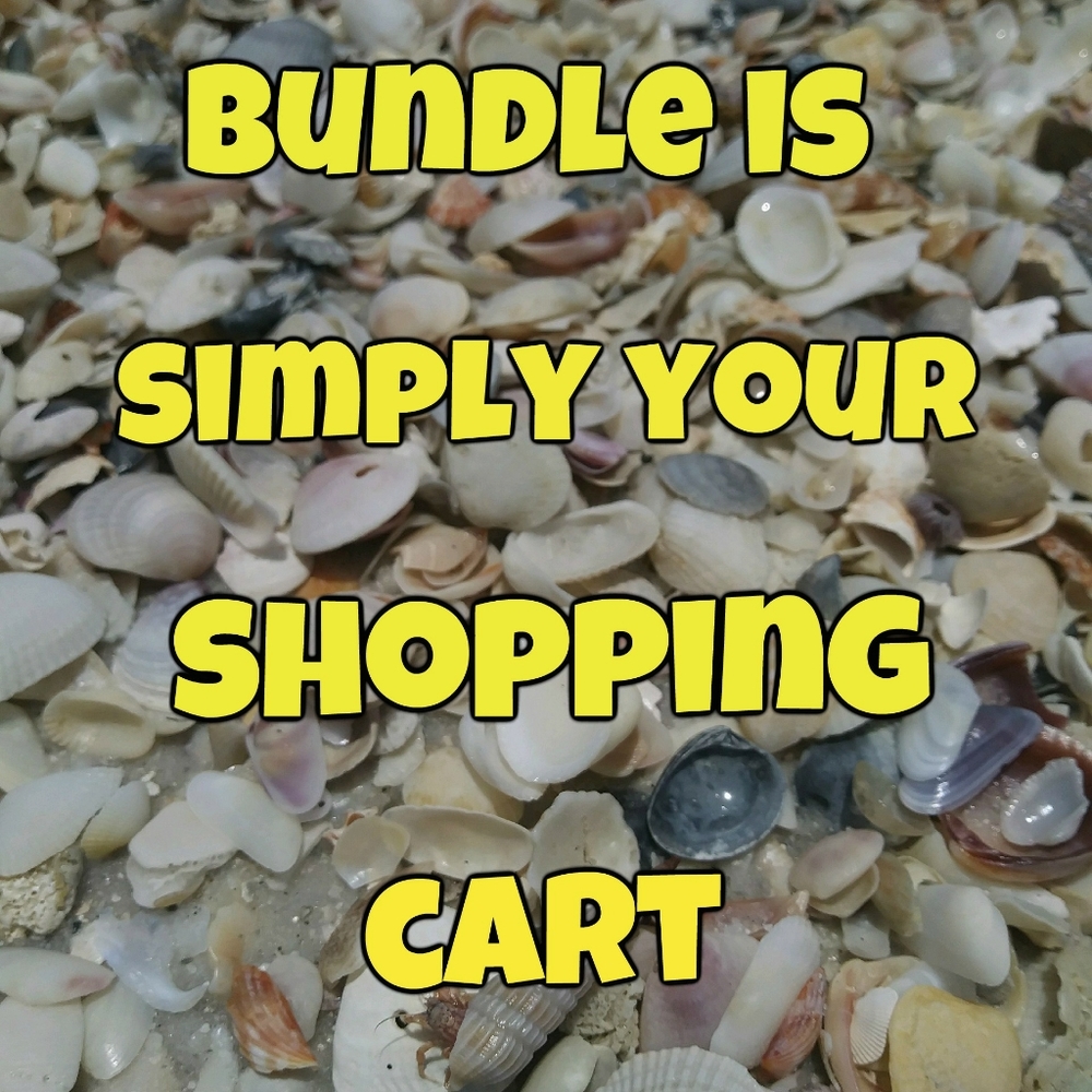 What is a bundle - Picture 2 of 12